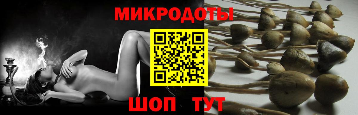как найти закладки  Вход с VPN  Арзамас  Галлюциногенные грибы мухоморы 